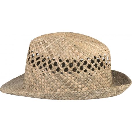 KP613 BRAIDED PANAMA HAT